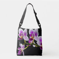 Orchidée blanche et violette