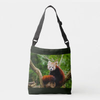 Ours panda rouge mignon