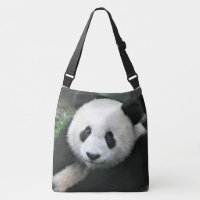 Panda géant dans une calme prairie verte