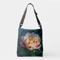 Pêche Douce et Pivoine Rose