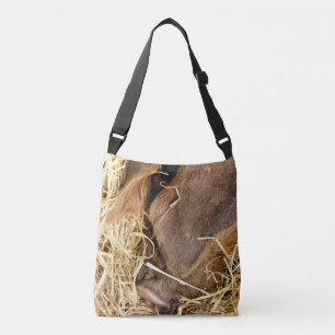 SAC AJUSTABLE PIG