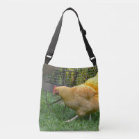 Poulet à la ferme