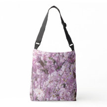 Printemps de fleurs de cerisiers