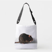 Rat cbcnm