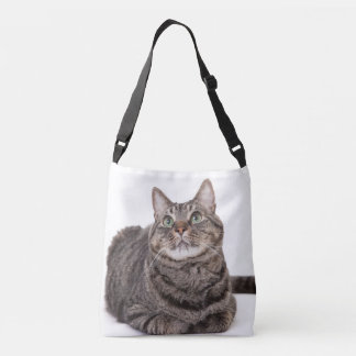Sac Ajustable Tabby Gris