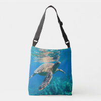 Tortue de mer