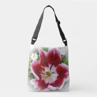 tulipe rouge brillante