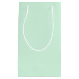 Sac cadeau à la menthe