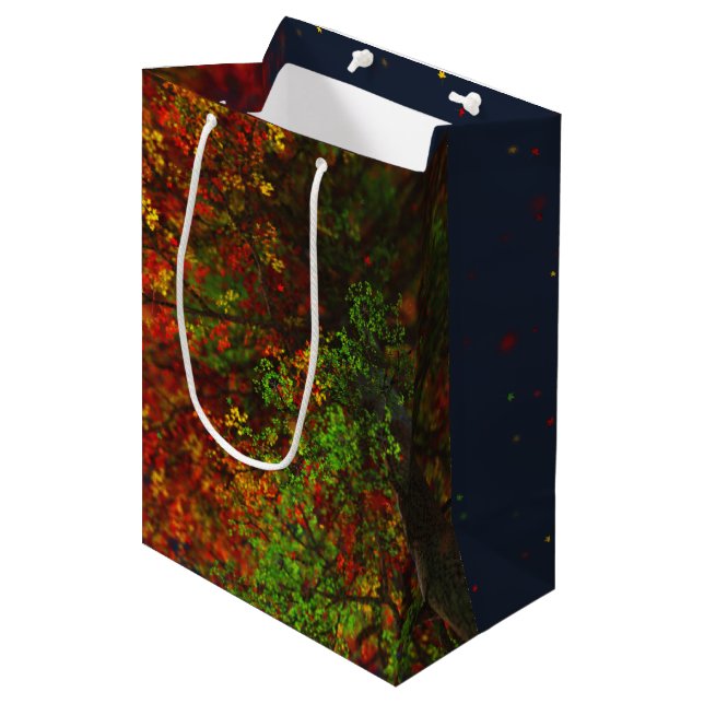 Sac cadeau arc-en-ciel qui tombe (Devant Angle)