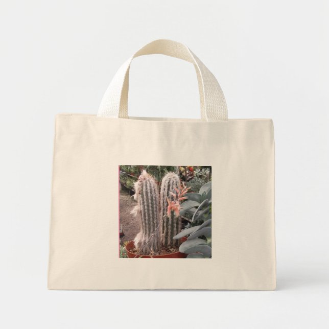 Sac cadeau cactus (Devant)