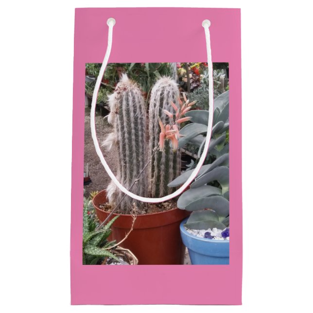 Sac cadeau Cactus (Devant)