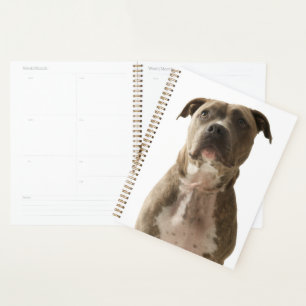 Sac cadeau Chien Taureau Pit