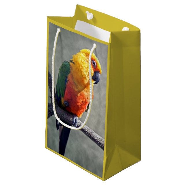 Sac cadeau Conure Jenday (Devant Angle)