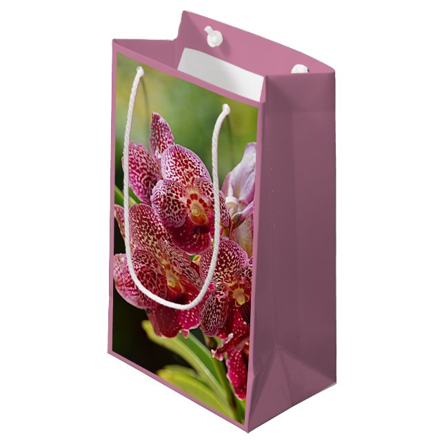 Sac cadeau d'anniversaire de la grappe d'orchidées (Devant Angle)