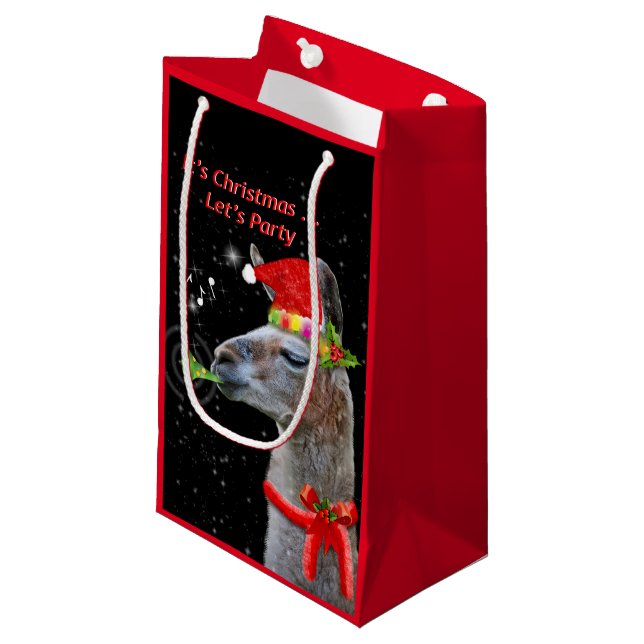 Sac cadeau de fête (Devant Angle)