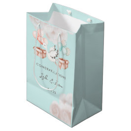 Sac cadeau de fête de révélation de genre