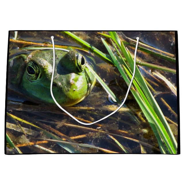 Sac cadeau de grenouille (Devant)