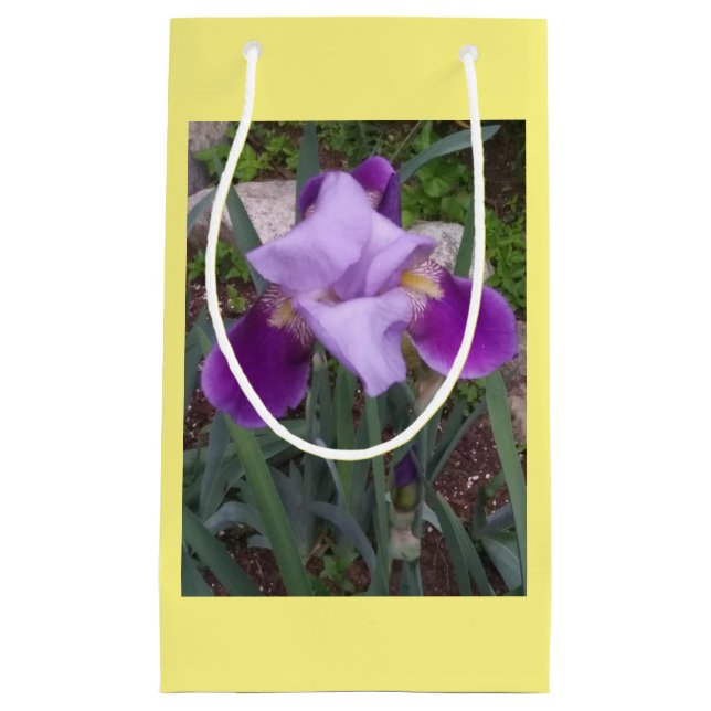 Sac cadeau Iris (Devant)