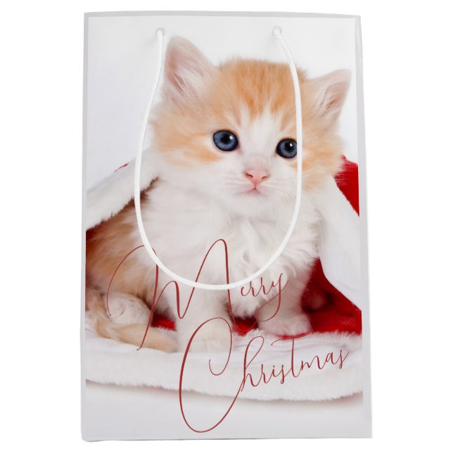 Sac Cadeau Moyen Amoureux branchés des animaux de compagnie Joyeux  (Devant)