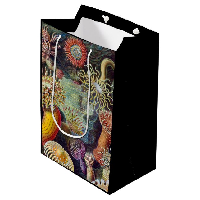 Sac Cadeau Moyen Anémone de mer Nature scientifique Océan (Devant Angle)