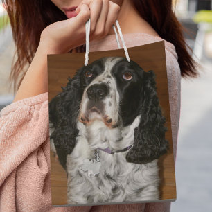 Sac Cadeau Moyen Anglais Springer espagnol animal de compagnie phot