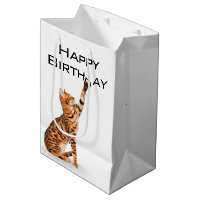 Anniversaire Bengale Chat