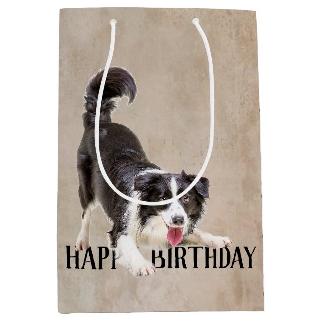 Sac Cadeau Moyen Anniversaire Frontière Collie (Devant)