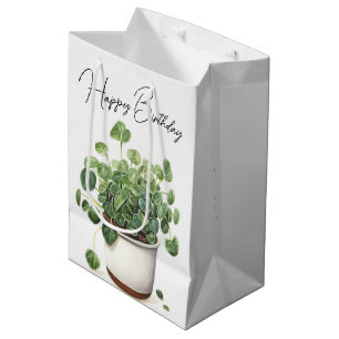 Sac Cadeau Moyen Anniversaire Plante Succulent en Pot