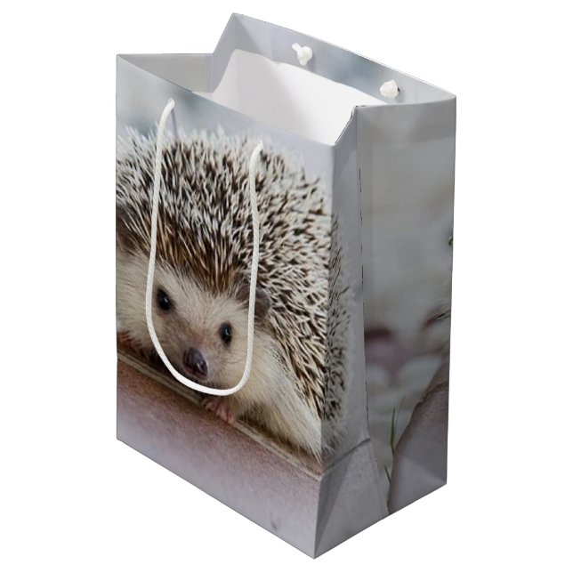 Sac Cadeau Moyen Baby hedgehog (Devant Angle)