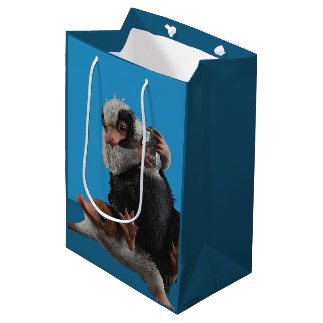 Sac Cadeau Moyen Baby Nifflers Find A Prize (Devant Angle)