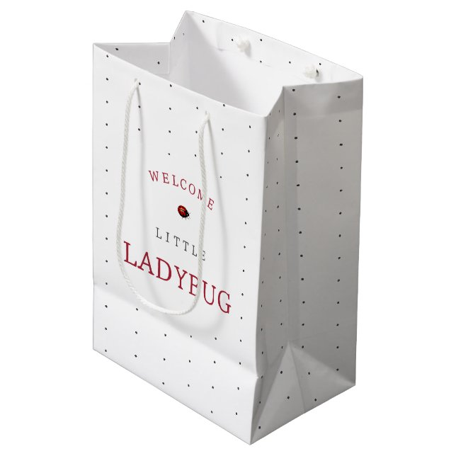 Sac Cadeau Moyen Baby shower Little Ladybug (Devant Angle)