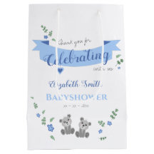 Baby shower pour bébé ours jumeaux garçons