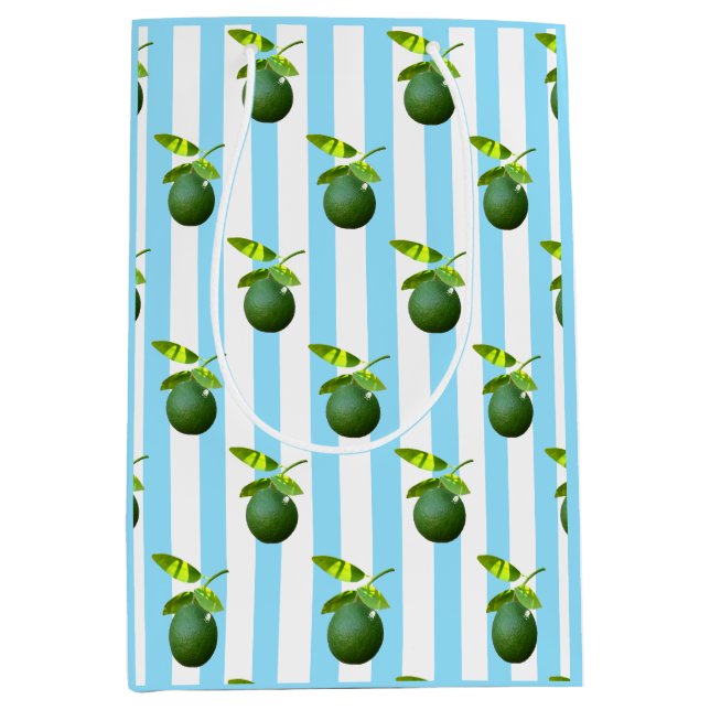 Sac Cadeau Moyen Beaucoup de chaux (Devant)