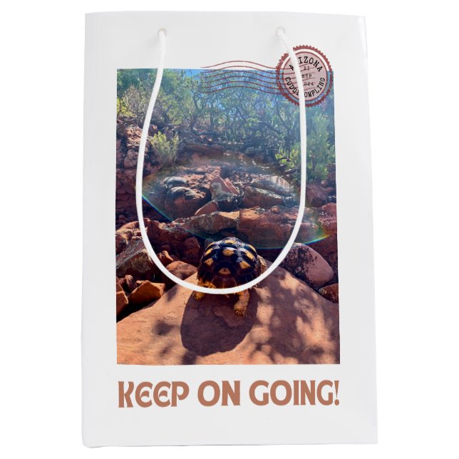 Sac Cadeau Moyen Bébé Sulcata Tortoise Continuez À Inspirer (Devant)