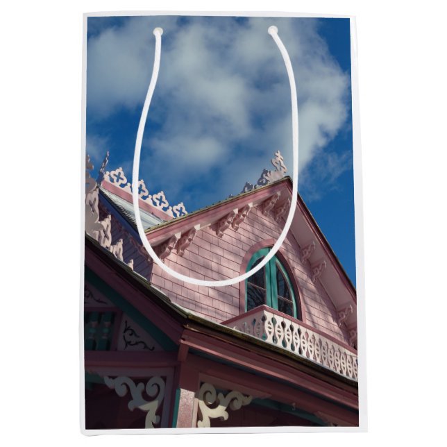 Sac Cadeau Moyen Blue Sky Pink Roofline - Martha's Vineyard (Devant)