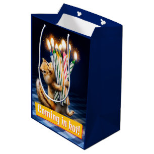 Sac Cadeau Moyen Bougies d'anniversaire de Tamia