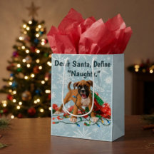 Boxer drôle de Noël