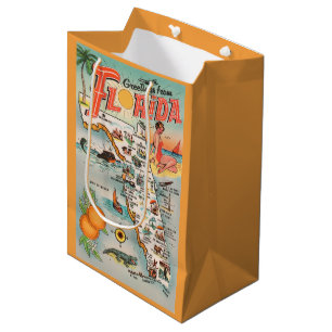 Sac Cadeau Moyen Carte vintage Floride attractions