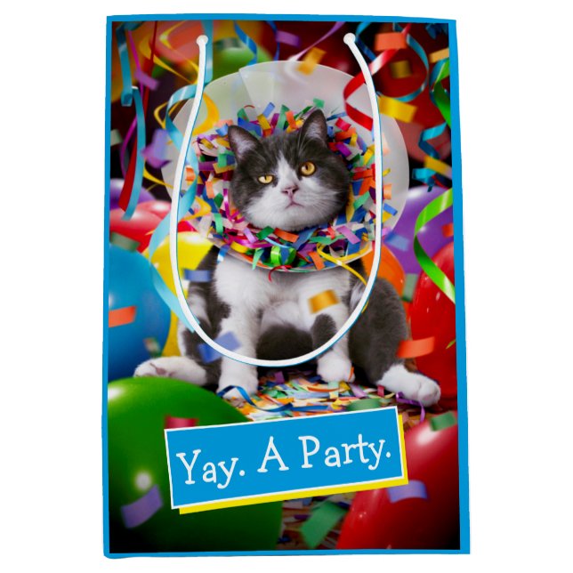 Sac Cadeau Moyen Cat In Party Cone (Devant)