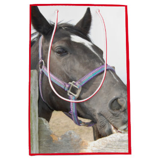 Sac Cadeau Moyen Cheval mignon à mâcher sur une clôture
