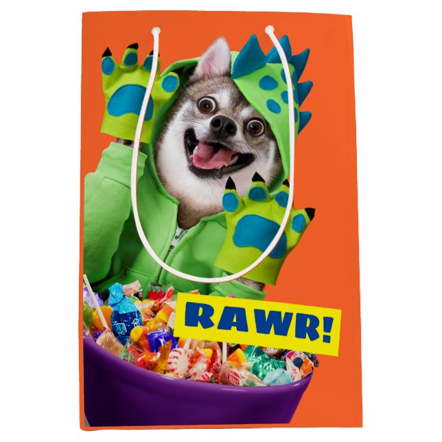 Sac Cadeau Moyen Chien en en costume de dinosaure (Devant)