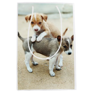 Sac Cadeau Moyen Chiots mignons jouant sur la plage