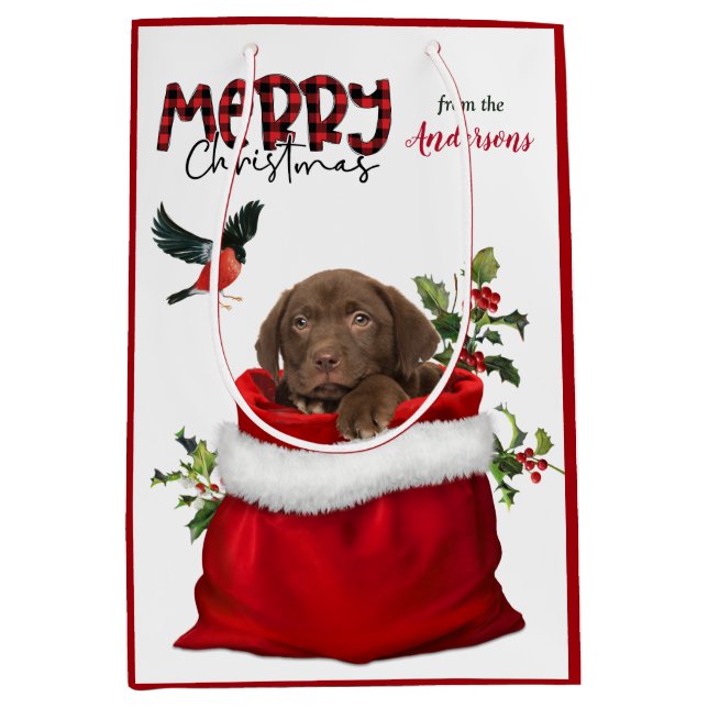 Sac Cadeau Moyen Chocolat Labrador Retriever Chien chiot Noël (Devant)