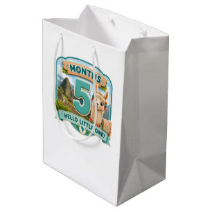 Sac Cadeau Moyen Cinq Mois de Petites Aventures Jalonne