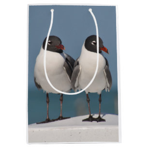 Sac Cadeau Moyen Couple de mouettes à tête noire