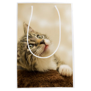 Sac Cadeau Moyen Cute Kitten avec une paille étirée