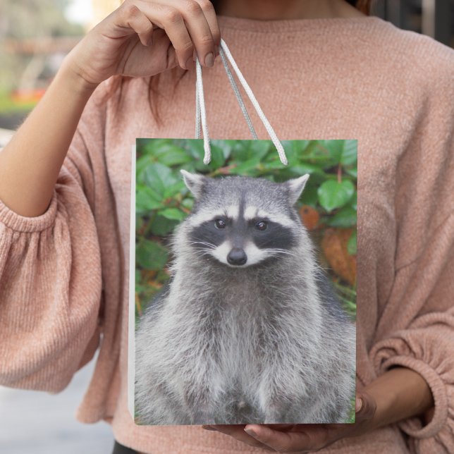 Sac Cadeau Moyen Cute Pote Raccoon Photo Faune (In Situ)