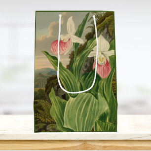 Sac Cadeau Moyen Cypripède Lady Slipper Orchidée Botanique Vintage