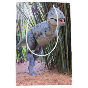 Sac Cadeau Moyen Daspletosaur - Sac-cadeau Dinosaur