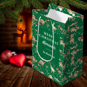 Sac Cadeau Moyen Dinosaures Mignons dans la Neige Noël Personnalisé